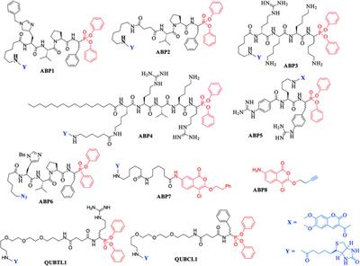 Novel inhibitors and activity-based probes targeting serine proteases